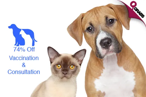 For QR139 get a Vaccination & Consultation for Your Cat or Dog (QR525 Value)